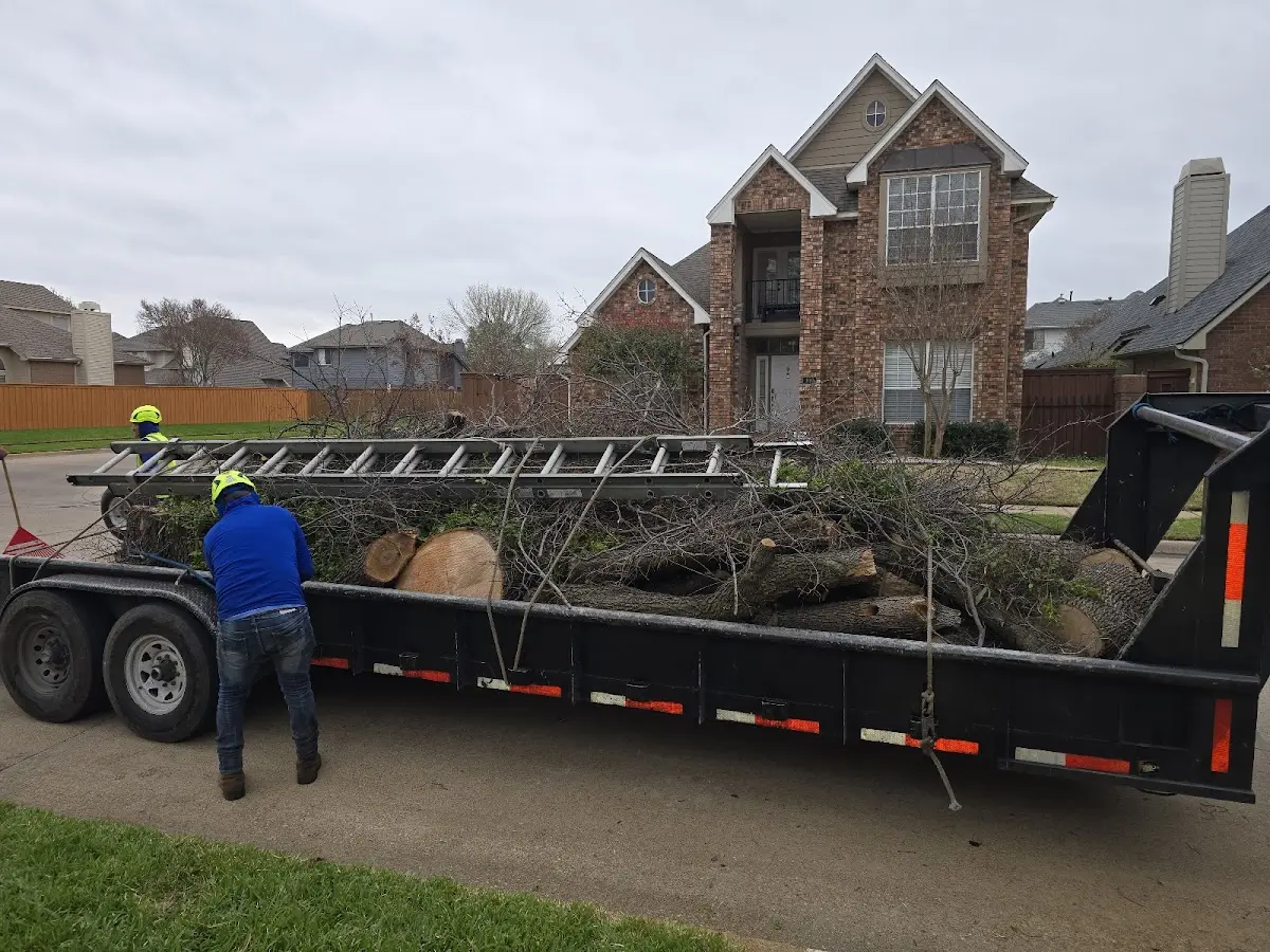 Expert Tree Fertilization with proper safety equipment in Lake Lynn